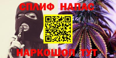 сатива Бийск