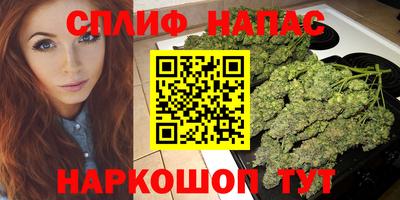мяу мяу мука Беслан