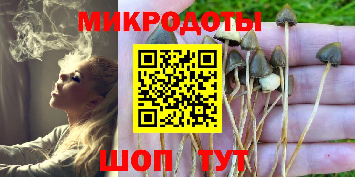 Галлюциногенные грибы ЛСД  Вход с VPN  Карачаевск 